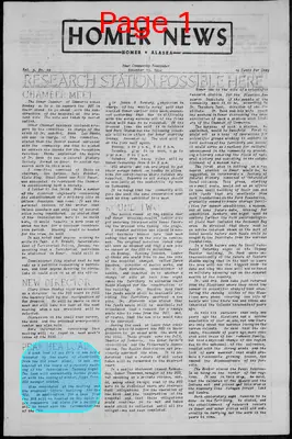 Page thumbnail for Homer News