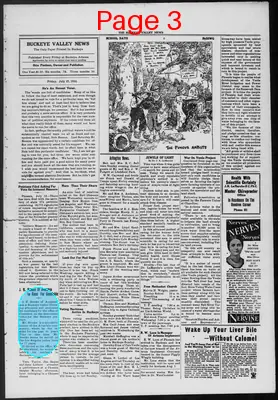 Page thumbnail for Buckeye Valley News