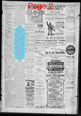 Page thumbnail for Lawrence Democrat
