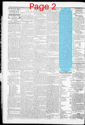 Page thumbnail for The Winchester Appeal