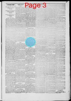 Page thumbnail for Custer Chronicle