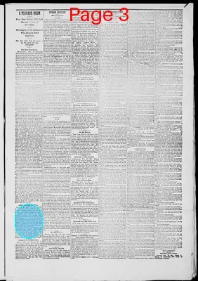Page thumbnail for Custer Chronicle