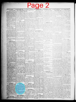 Page thumbnail for Custer Weekly Chronicle
