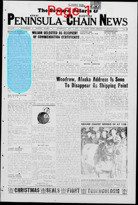 Page thumbnail for The Seward Polaris & Kenai Peninsula Aleutian Chain News