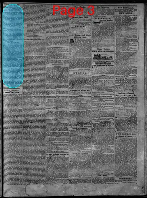 Page thumbnail for Vermont Phœnix
