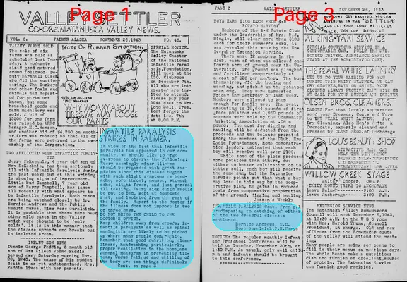 Page thumbnail for The Valley Settler
