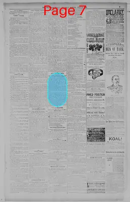 Page thumbnail for Telegram Herald