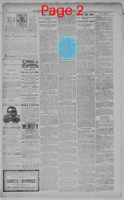 Page thumbnail for Telegram Herald