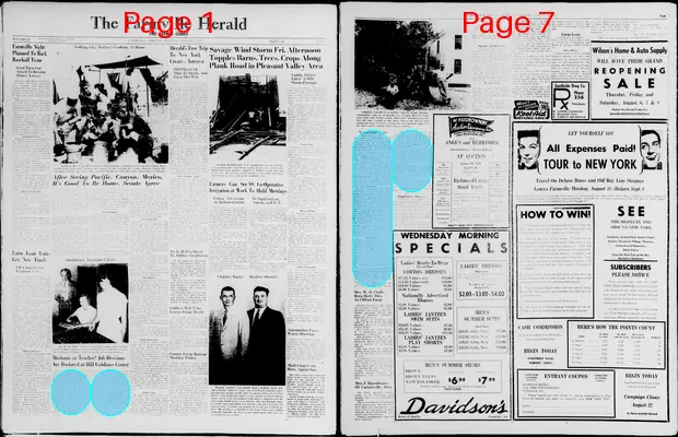 Page thumbnail for The Farmville Herald And Farmer Leader