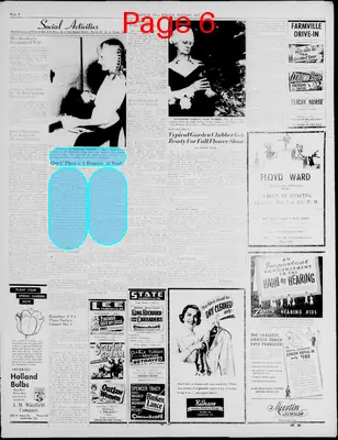 Page thumbnail for The Farmville Herald And Farmer Leader