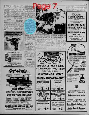 Page thumbnail for The Farmville Herald