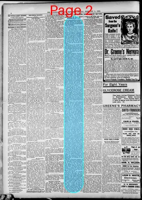 Page thumbnail for Windham County Reformer