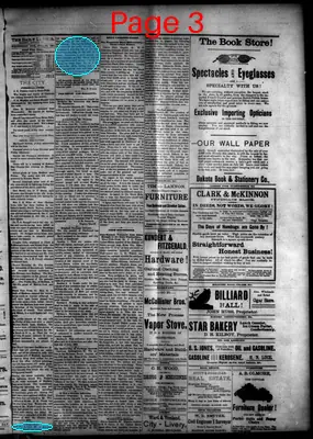 Page thumbnail for The Madison Daily Leader