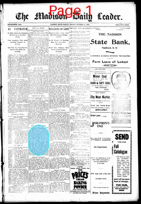 Page thumbnail for The Madison Daily Leader