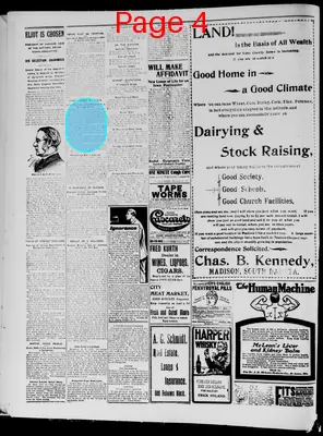 Page thumbnail for The Madison Daily Leader