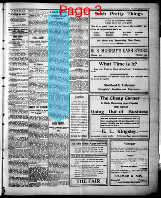 Page thumbnail for The Madison Daily Leader