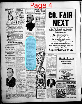 Page thumbnail for The Madison Daily Leader