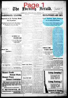 Page thumbnail for The Evening Herald