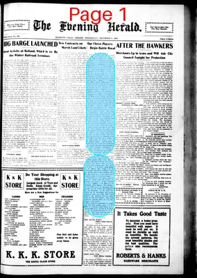 Page thumbnail for The Evening Herald