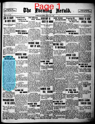 Page thumbnail for The Evening Herald