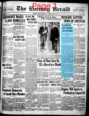 Page thumbnail for The Evening Herald