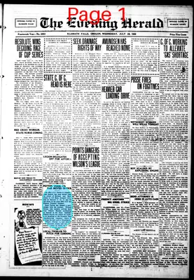 Page thumbnail for The Evening Herald