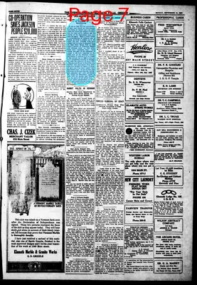 Page thumbnail for The Evening Herald