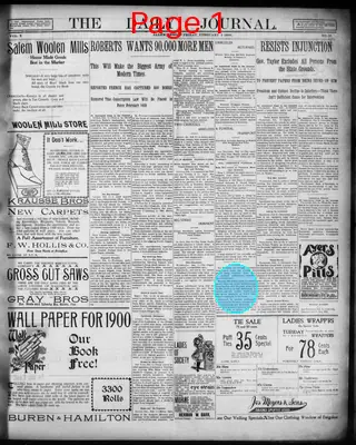 Page thumbnail for The Daily Journal