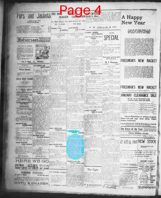 Page thumbnail for The Daily Journal