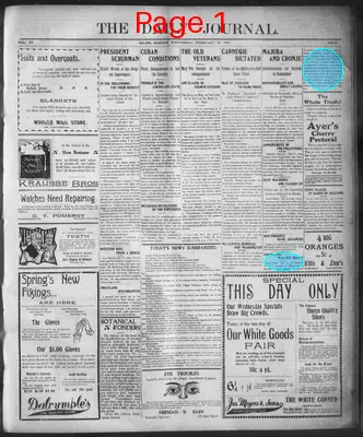Page thumbnail for The Daily Journal