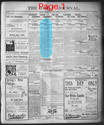 Page thumbnail for The Daily Journal