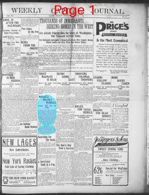 Page thumbnail for The Daily Journal
