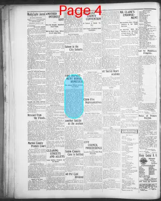 Page thumbnail for The Daily Journal
