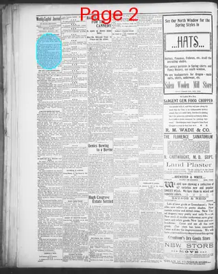 Page thumbnail for The Daily Journal