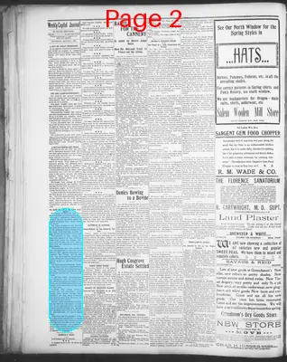 Page thumbnail for The Daily Journal