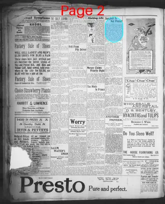 Page thumbnail for The Daily Journal