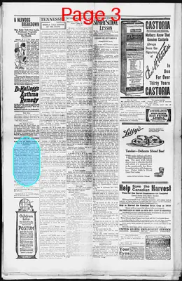 Page thumbnail for Grainger County News