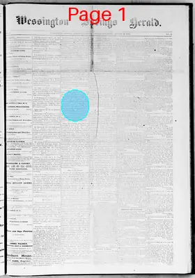 Page thumbnail for Wessington Springs Herald