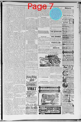 Page thumbnail for Wessington Springs Herald