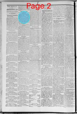 Page thumbnail for Wessington Springs Herald